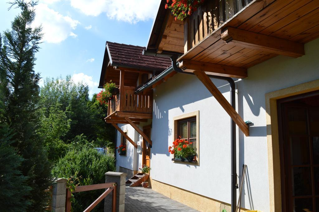 Pension Druhy Domov Novy Bor Luaran gambar